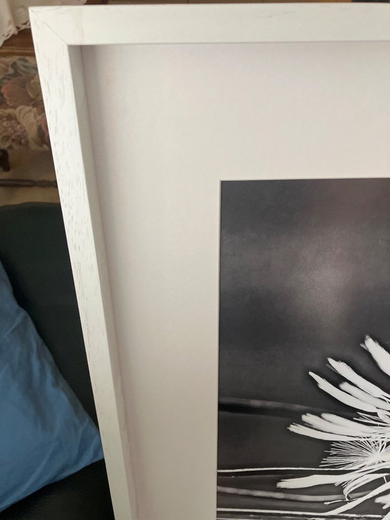 Foto im Rahmen mit Passe-Partus – Fotografie, Paper (photo 2 of 5)