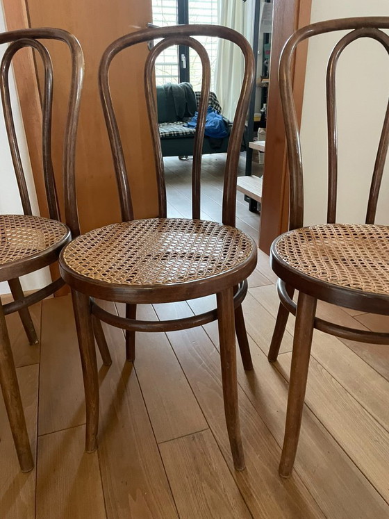 Image 1 of 6 chaises viennoises en osier Thonet, meubles en bois courbé ZPM Radomsko