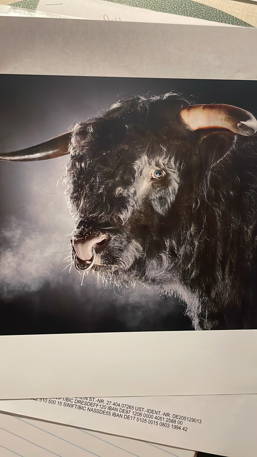 Alexander von Reiswitz