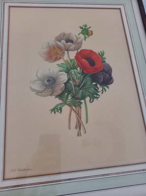 Magnifique cadre avec une œuvre de Redoute – giclee prints, Glass, Paper (photo 2 of 8)