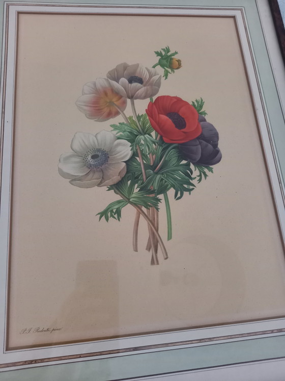 Magnifique cadre avec une œuvre de Redoute – PJ Redoute, Tirages d'art, Glass, Paper (photo 2 of 8)