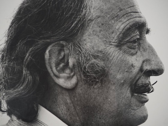 Marc Lacroix: Dali blickt in die Ferne, Originalfotografie mit Signatur – Paper (photo 4 of 6)