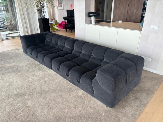 Image 1 of B&B italia tufty time sofa