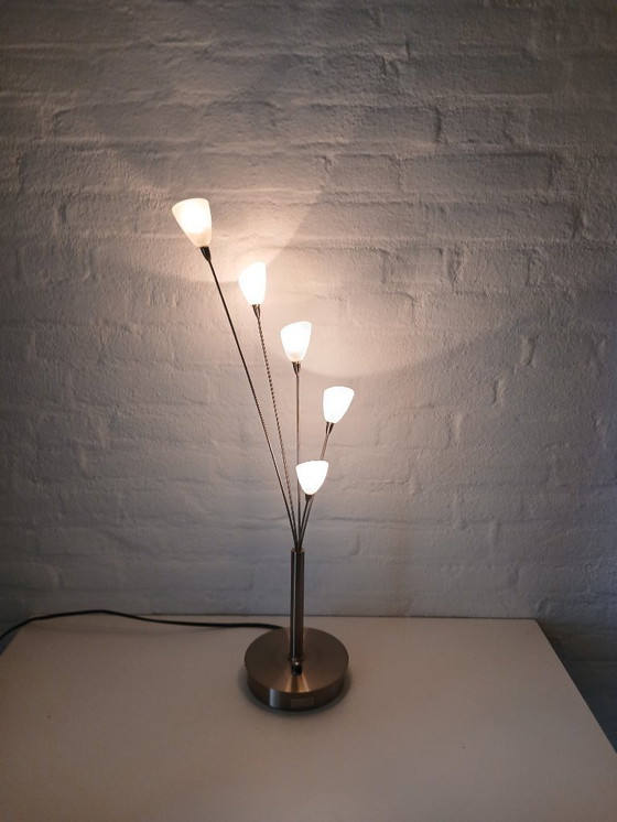 Image 1 of Tischleuchte - Jan des Bouvrie - Boxford