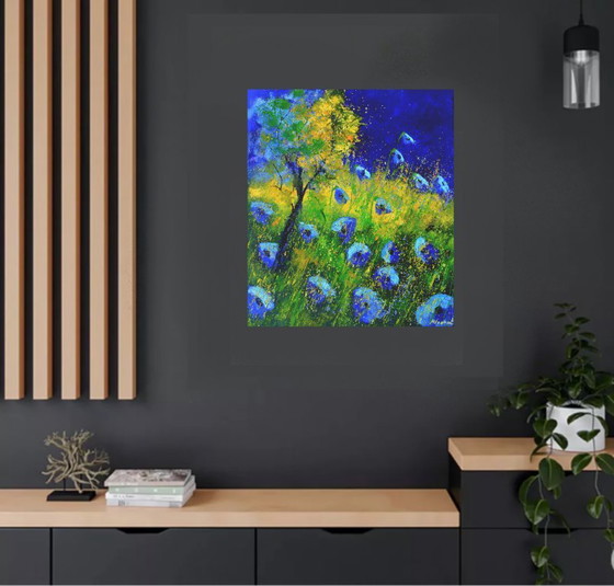 Image 1 of Blaue Mohnblumen 6726