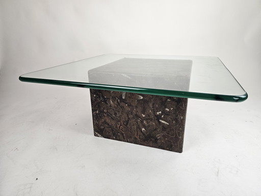 Coffee table with petrified fossil base and cut thick glass top