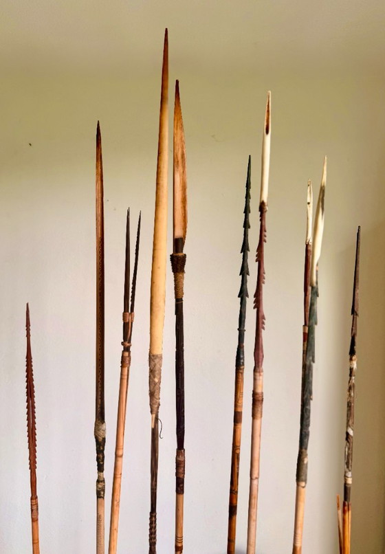 Arc et flèches des tribus Sepik et/ou Asmat de Papouasie-Nouvelle-Guinée – Objets déco, Bamboo (photo 11 of 17)