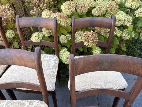6 Vintage Antieke Mahonie Teak Stoelen – Eetkamerstoelen, Textile, Wood (photo 4 of 9)