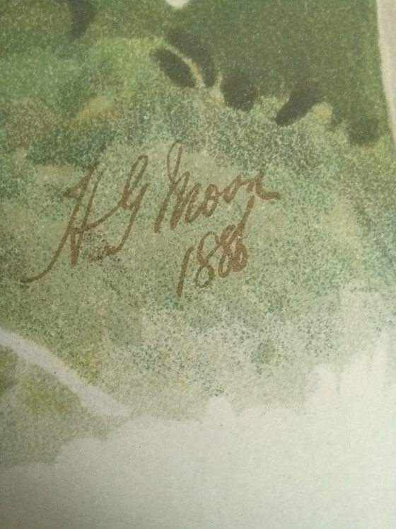 Image 1 of Original Chromolithography 'Reichenbachia' 1888 – H.G. Moon