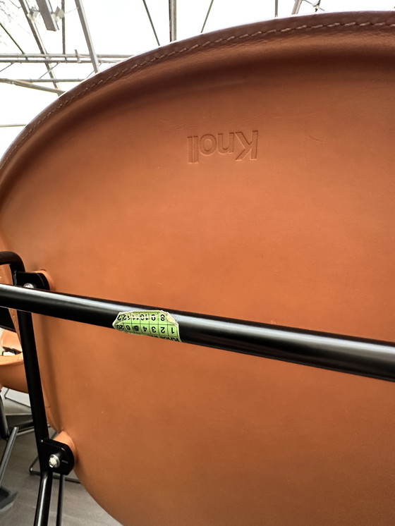 Image 1 of 8x bertoia side chair saddle leather