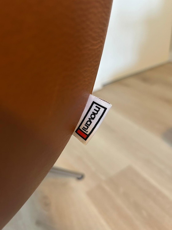 Image 1 of Movani Gealux Miami