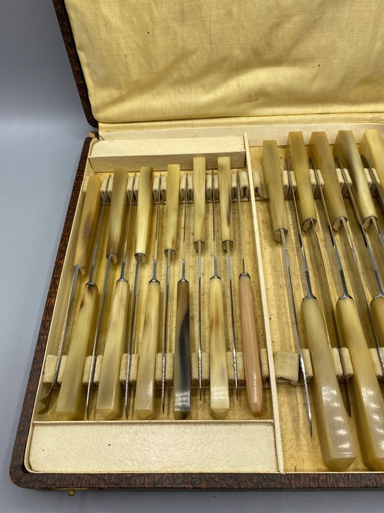 25 Chabrier-Messer mit hellen Horngriffen in Originalverpackung – Besteckkassetten, Canvas (photo 3 of 5)