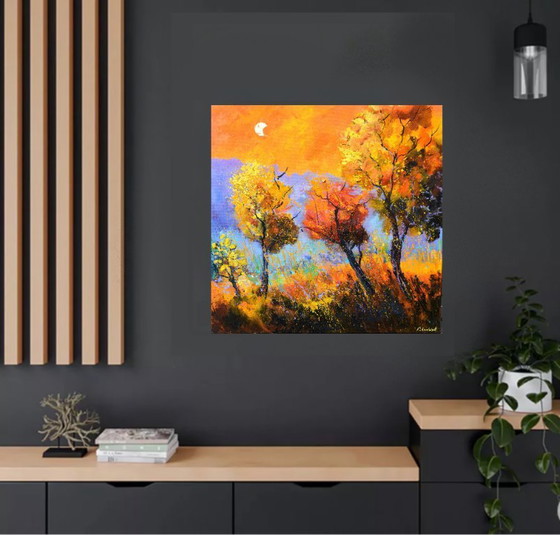 Image 1 of Trees in autumn