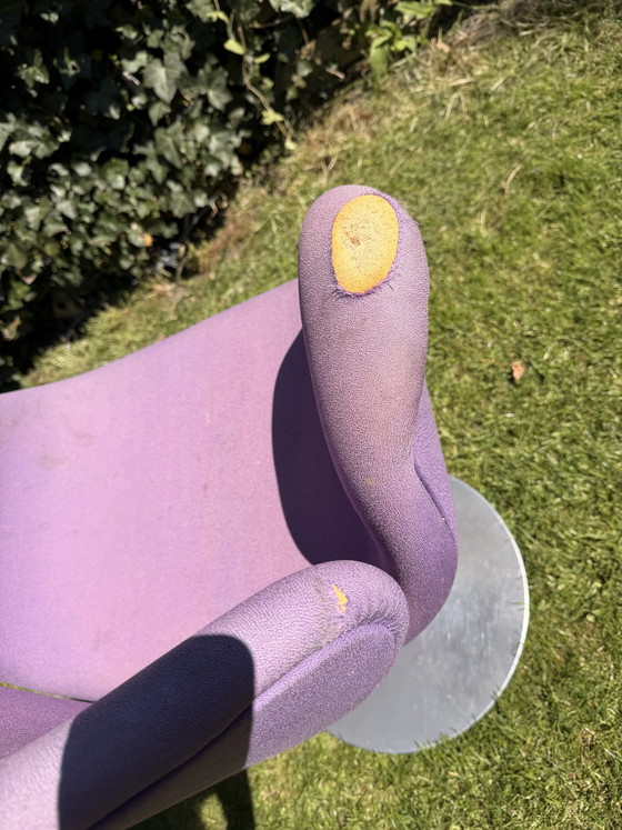 Image 1 of Little tulip Artifort (purple) badly damaged