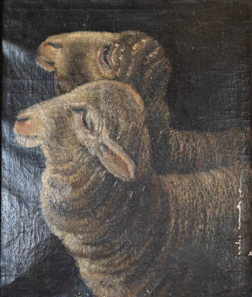 Oil painting – two sheep