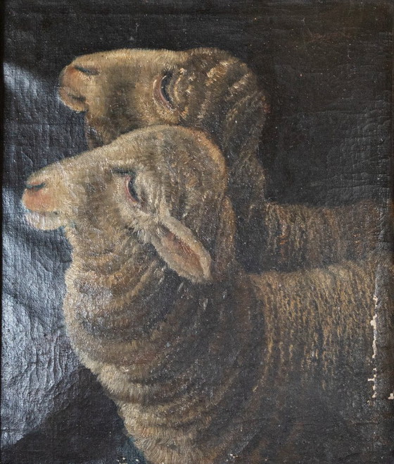Image 1 of Oil painting – two sheep