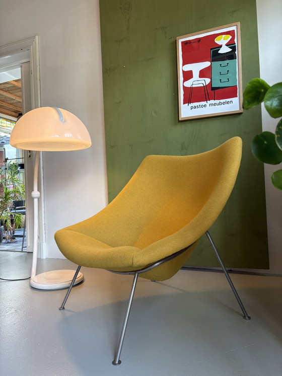 Artifort F157 Big Oyster Sillón recién tapizado – Sillones, Wool (photo 3 of 8)