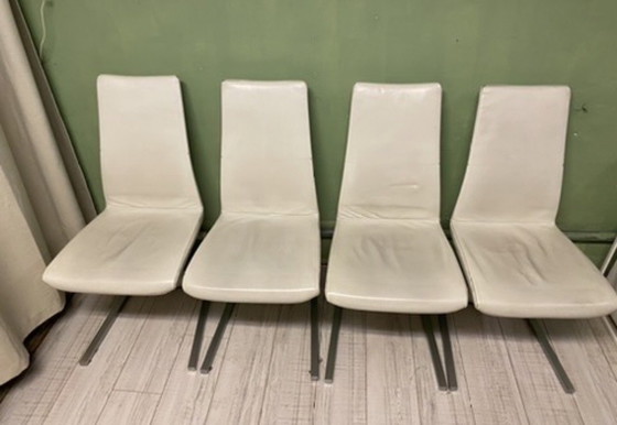 Image 1 of Rolf Benz chairs