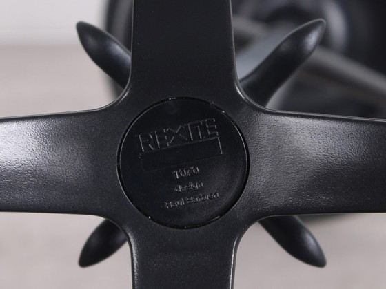 Image 1 of Appendiabiti Rexite Cactus