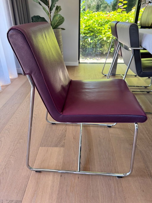 Leolux Spring eetkamer stoelen