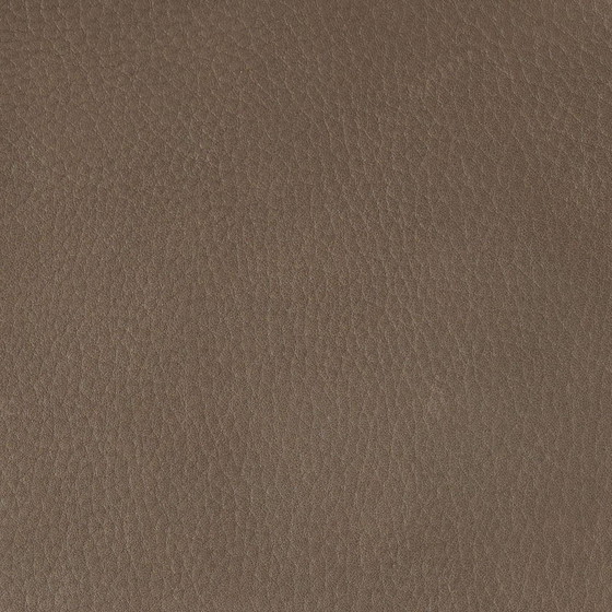 Image 1 of Fauteuil Gigi | Étiquette van den Berg