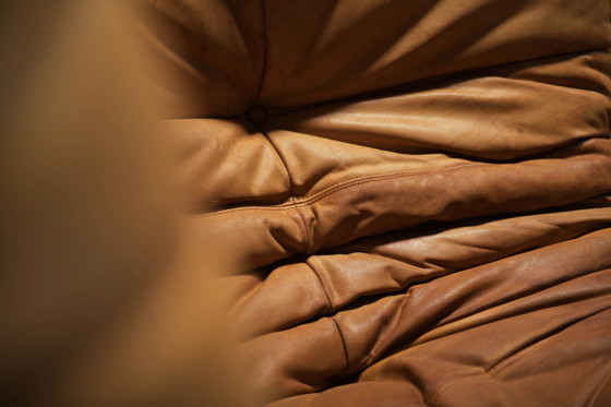 Image 1 of Perfect Rich Patinated Togo in Original Natural Leather by Michel Ducaroy - Ligne Roset