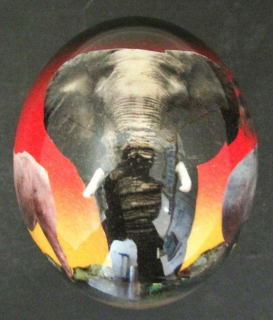 Image 1 of Straußenei mit den afrikanischen Big Five