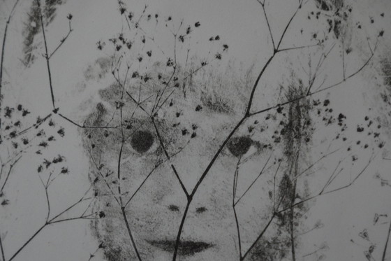 Image 1 of Lithograph by H.D.F. v.d. Bos / v.d Molen ( Reina )