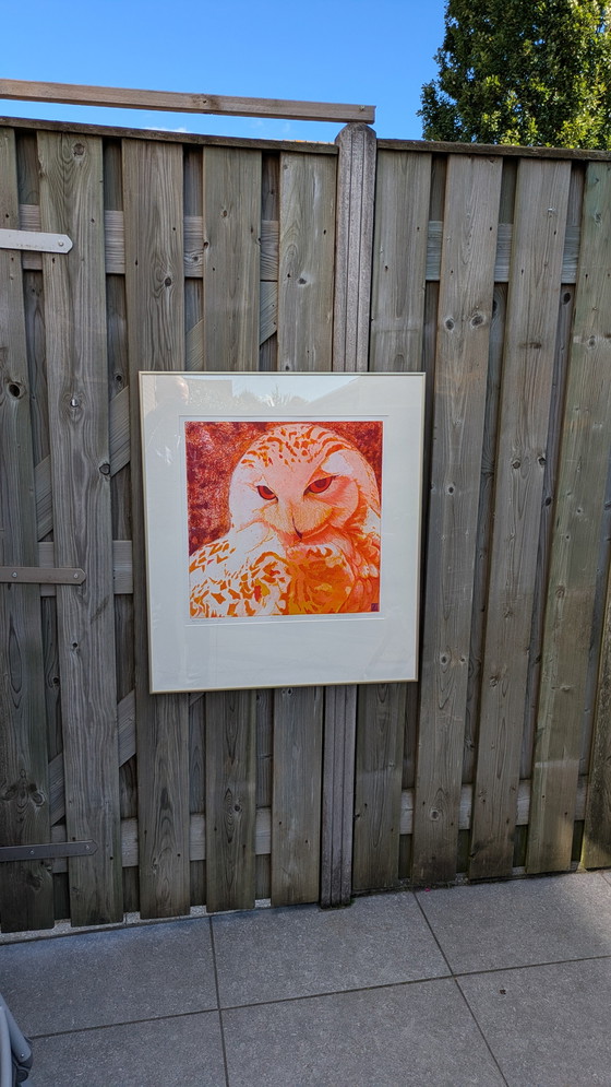 Image 1 of Large Coloring Set Snowy Owl Toni de Klerk