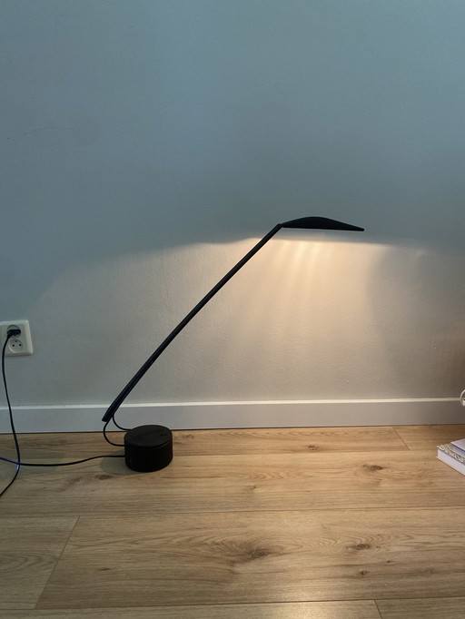 Studio Paf Dove lamp