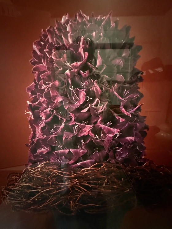 Image 1 of Exclusive photo in frame 