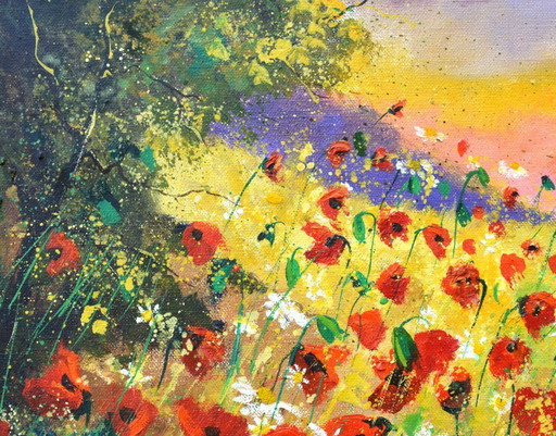 Red poppies in sumer 