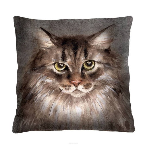 2 Decorative Cushions 40x40 In Velour Model Sulk