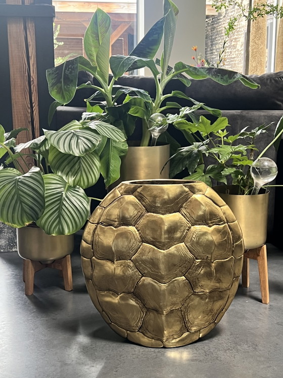 Light & Living Turtle Vase - Antique Bronze (Size L) – Metal, Plastic (photo 3 of 10)