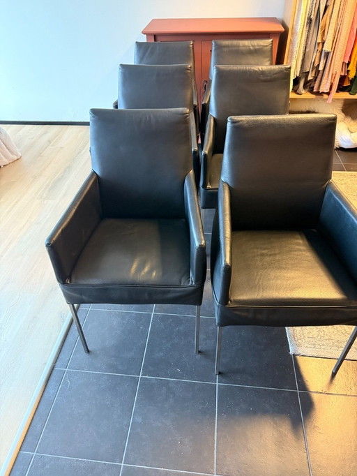 6 sedie da pranzo in pelle Bert plantagie