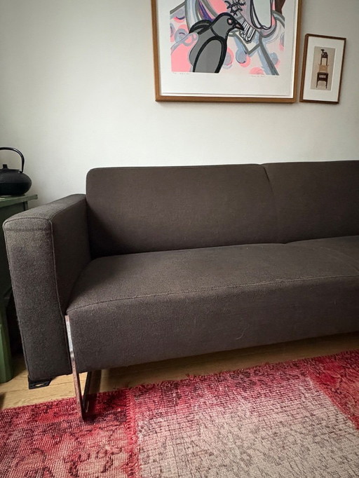Artifort Mare 2.5-seater sofa