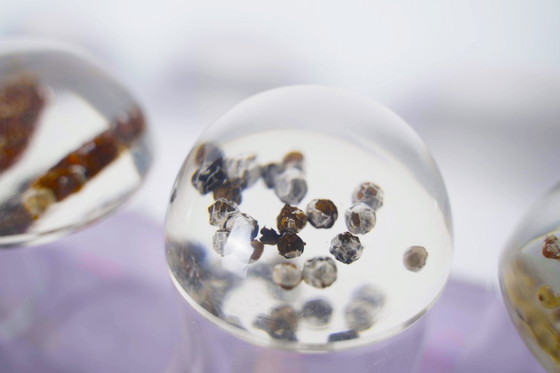 Image 1 of French Plexiglas Vintage Spice Container Jars – Set of 6 Preserved Herb Cylinders