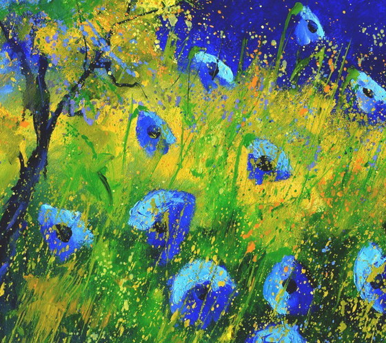 Image 1 of Blaue Mohnblumen 6726
