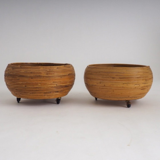 Pair of Italian Mid-Century Pencil-Reed Rattan Planters Attributed to Vivai Del Sud – Plant pot (photo 8 of 23)