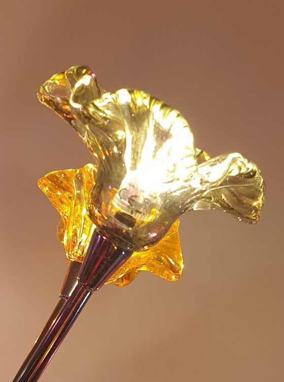 Image 1 of Kare design sputnik