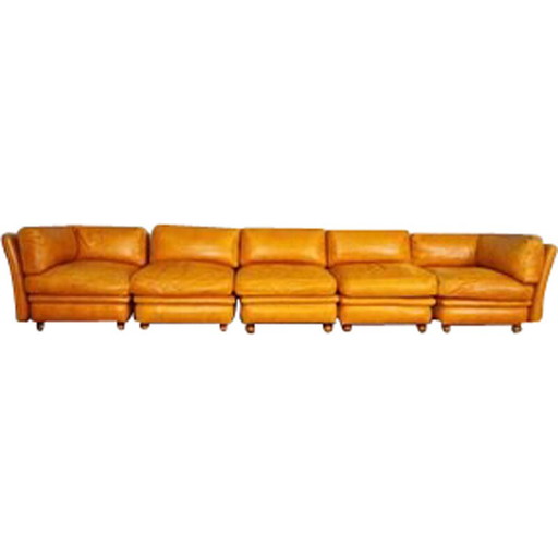 Vintage living room set in leather and wood by Frau, Italy 1970