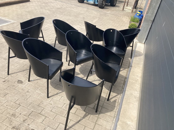 Image 1 of 10x Philipphe Starck Black Costes Dining Chairs