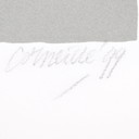 Beverloo Corneille Kleurenlitho