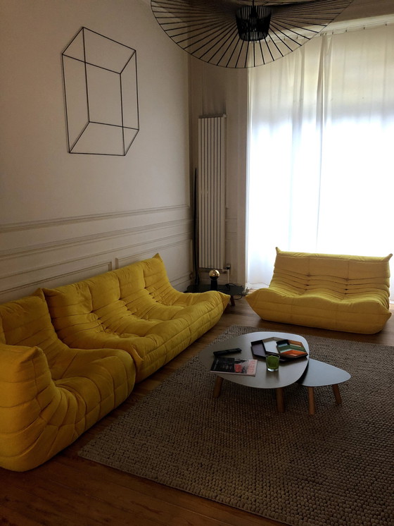 Image 1 of Ligne Roset Togo Alcantara Geel