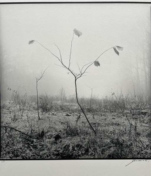 Zeefdruk / Fotografie Ralf Janowski