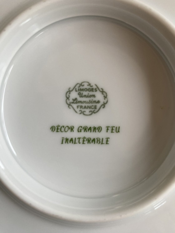 Image 1 of Modern En Tijdloos Limoges Servies (82 Stuks)