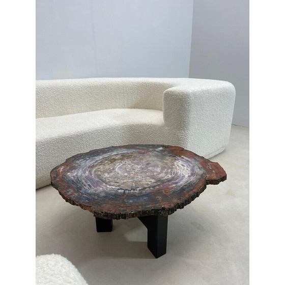 Image 1 of Mid-eeuwse salontafel van versteend hout, België 1970