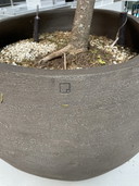 Atelier Vierkant pot