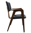 Pastoe FT14 fauteuil vintage