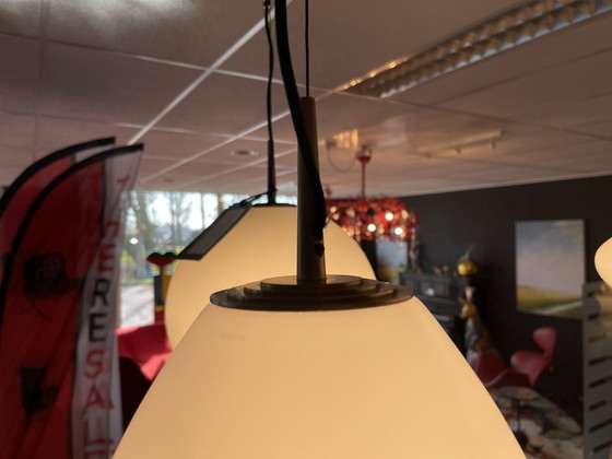 Image 1 of J. Adams & Co Spot Nova Lantern